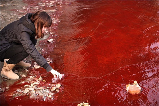 洛阳涧河遭到污染 河水变成血红色(组图)